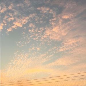 Meet your Posher, Jacqueline